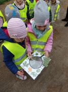 większy obrazek nr 4