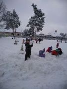 większy obrazek nr 1