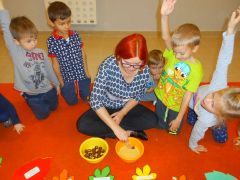 większy obrazek nr 5