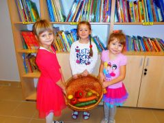 większy obrazek nr 6