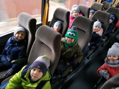 większy obrazek nr 2