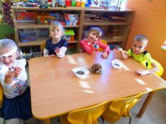 większy obrazek nr 6