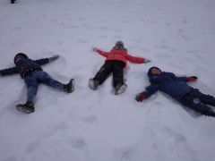 większy obrazek nr 6