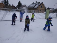 większy obrazek nr 7