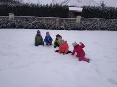 większy obrazek nr 12