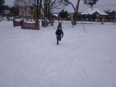 większy obrazek nr 13