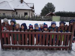 większy obrazek nr 14