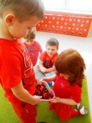 większy obrazek nr 1