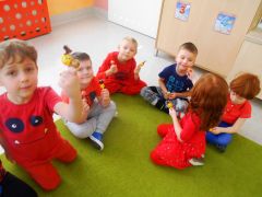 większy obrazek nr 5