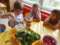 większy obrazek nr 7