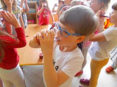 większy obrazek nr 11