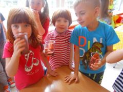 większy obrazek nr 12