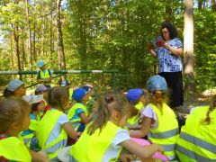 większy obrazek nr 2