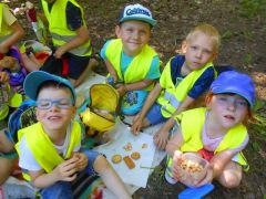 większy obrazek nr 9