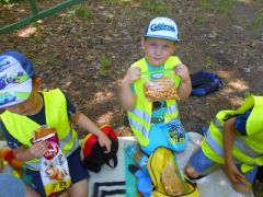 większy obrazek nr 12