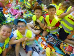 większy obrazek nr 13