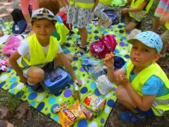 większy obrazek nr 14