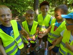 większy obrazek nr 15