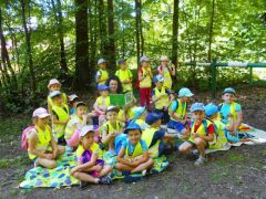 większy obrazek nr 17