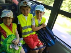 większy obrazek nr 8