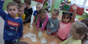 większy obrazek nr 7