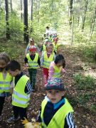 większy obrazek nr 1