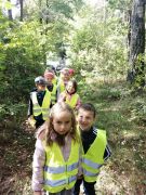 większy obrazek nr 7