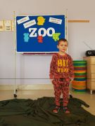 większy obrazek nr 9