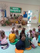 większy obrazek nr 6