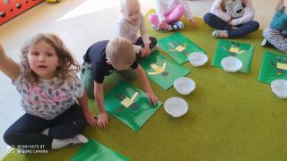 większy obrazek nr 8