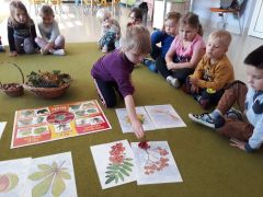 większy obrazek nr 3