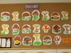 większy obrazek nr 1