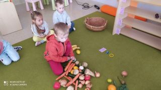 większy obrazek nr 14