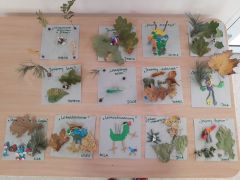 większy obrazek nr 5