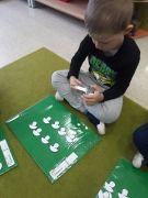 większy obrazek nr 8