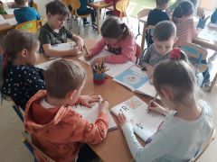 większy obrazek nr 11