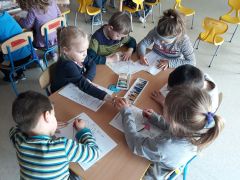 większy obrazek nr 19