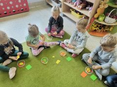 większy obrazek nr 6