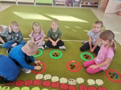 większy obrazek nr 11