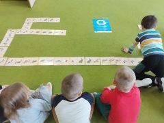 większy obrazek nr 5