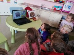 większy obrazek nr 3