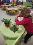 większy obrazek nr 2