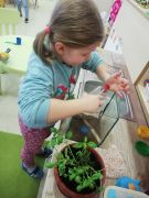 większy obrazek nr 5