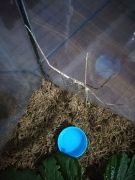 większy obrazek nr 6