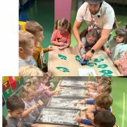 większy obrazek nr 2