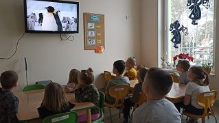 większy obrazek nr 2