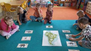 większy obrazek nr 1