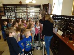 większy obrazek nr 6