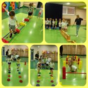 większy obrazek nr 5