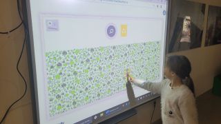 większy obrazek nr 6